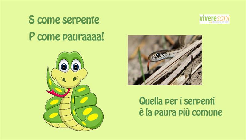 Ofidiofobia Ofidiofobia